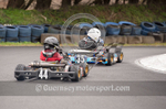 Karting 2017_Winter Race-1-10