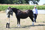WJ6_4867