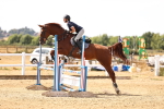SBM_000736