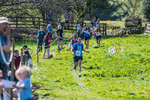 The Finish-1020