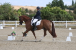 SBM_020420