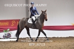 30TH NOV 2025 - KINKELL DRESSAGE FINALS - MUIRMILL EC portfolio