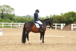 SBM_006636