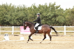 SBM_003020