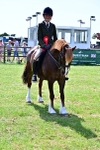 SBM_08097