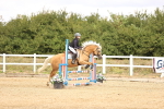 SBM_007176
