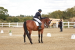 SBM_010861