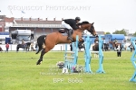 BPP_8666