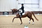 Class 13 - FEI PSG Gold - 9.00-10.20 portfolio