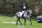 451-THE.GREY.DANCER-Alice.Sandiford-DR portfolio