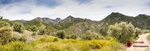 190517-untitled-1L4A1266-Edit-Edit