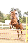 SBM_004365