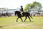 SBM_17654