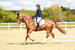 SBM_000598