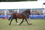 SBM_09843