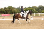 SBM_005566