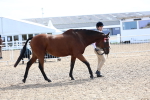 SBM_01915