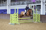 SBM_002638