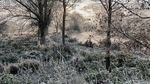 Frosty Autumn Day1