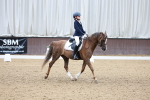 SBM_006072