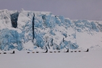 Dog sleding by Tunabreen 6042