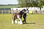 SBM_08609