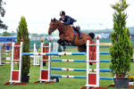 EQUISCOT 9293