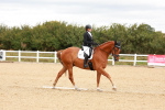 SBM_001917
