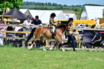 SBM_06441
