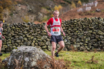 Stybarrow Dodd-875