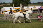 SBM_09533