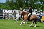 SBM_07920