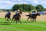 040826-Race 6-Without Flaw-5649