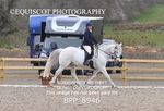 BPP_8946