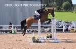 BPP_6683