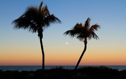 SunBeachWater  _0081