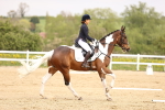 SBM_007339