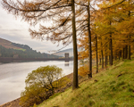 Towers at Derwent Reservoir (2)