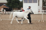 SBM_08453
