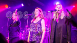 King Rat_30th Birthday Gig-63