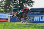140826-Race 4-Raging Raj-1321