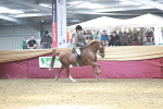 SBM_07136