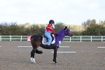 SBM_000508
