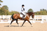 SBM_01772