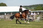 SBM_06926