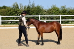 Class 1: M & M 1, 2,3 year old portfolio