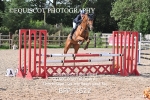 BPP_3622