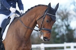 135-Ellie.Discombe-Lanche portfolio