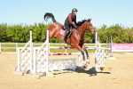 SBM_001912