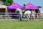 SBM_17549